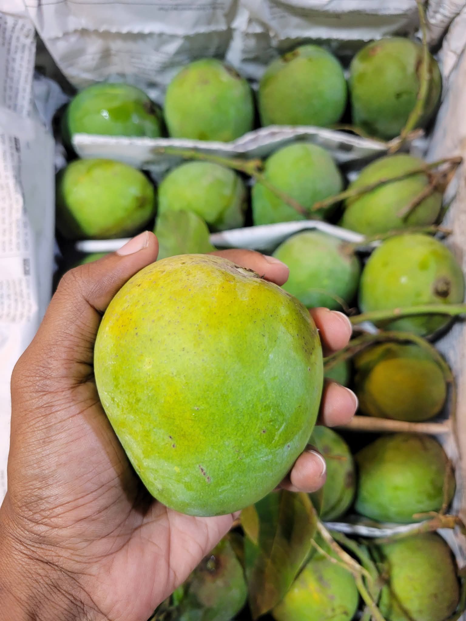 Mango ( খাঁটি আম )