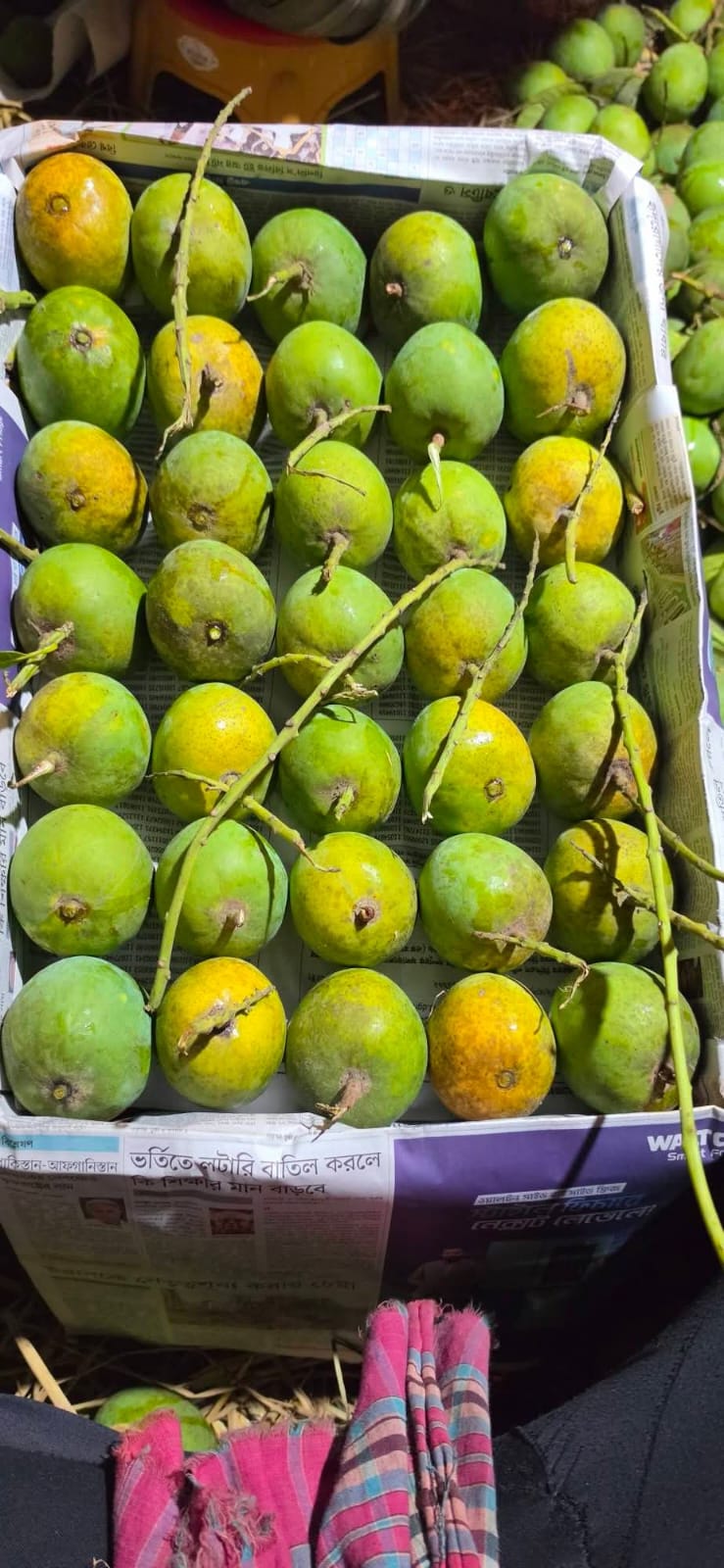 Mango ( খাঁটি আম )